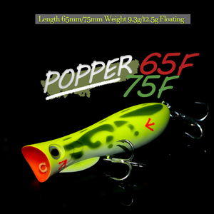 <span class=keywords><strong>Leurre</strong></span> de pêche <span class=keywords><strong>Popper</strong></span> 9.3g 12.5g Topwater appât dur longue coulée flottant modèle de Surface oscillante pour bar et <span class=keywords><strong>brochet</strong></span> - Product Image 2