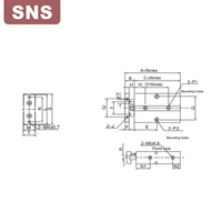 Cylindre pneumatique à double tige et double action SNS série TN avec aimant