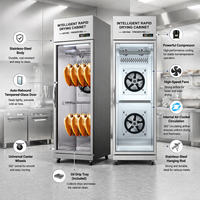 Armoire de séchage à air en acier inoxydable à contrôle numérique, sans givre, pour canard rôti et volailles croustillantes, usage commercial