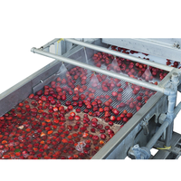 Commerciële fruit- en groentebellenwasser van roestvrij staal, industriële reinigingsmachine