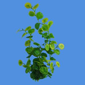 Plantes d'aquarium artificielles rondes de 40 cm, fausses plantes aquatiques en plastique pour la décoration de l'arrière-plan de l'aquarium - Product Image 2