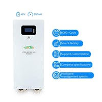 Batterie solaire domestique de type sol 51.2v 300ah 15kwh Lifepo4 300ah 600ah Lifepo4 Batterie