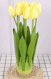 สีเหลือง