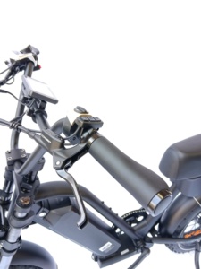 QUEENE/potente bombardiere Stealth 48V 500W 750W MTB bici elettrica Fat Tire bicicletta elettrica da montagna - Product Image 5