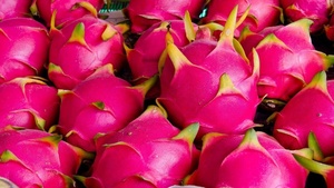 Polvere di Pitaya di vendita calda polvere di drago in polvere di frutta di drago rosso naturale - Product Image 2