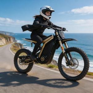 Vélo tout-terrain 79 Bike Dirt 10kW 72V40Ah avec moteur à aimants, sortie stable, accélération fluide, couple élevé, offre une accélération puissante et une conduite fluide - Product Image 1
