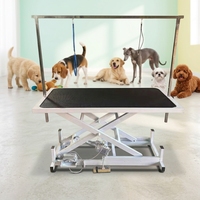 Table de toilettage électrique pour animaux, table de toilettage rectangulaire pour animaux, table de toilettage pour chats et chiens, table de toilettage pour animaux