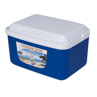 PP Plastique 5L Refroidisseur De Nourriture Boîte Carrée Portable Transport Coolbox Glace Brique Boler Bière Glacière