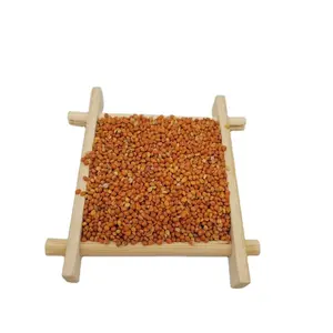 Vendita calda all'ingrosso prezzo a buon mercato di buona qualità miglio di grano glutinoso miglio rosso in lolla
