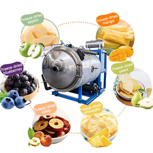 Liofilizador de la serie LG, capacidad de 300kg, congelación al vacío con controlador integrado industrial - Product Image 6