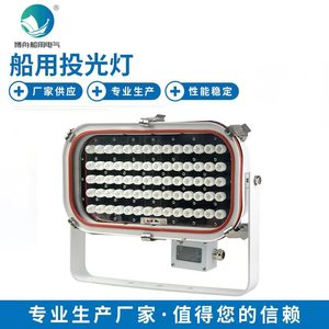 Projecteurs LED marins TG20 50W en gros, alimentation CA, indice de protection IP67 IP66, SMD, aluminium, acier inoxydable, éclairage marin Bozhou - Product Image 5