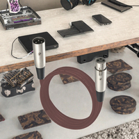 Câble micro XLR en nylon fin haut de gamme OEM d'usine, 1m, cuivre sans oxygène pour application microphone d'enregistrement sur ordinateur et appareil photo reflex numérique