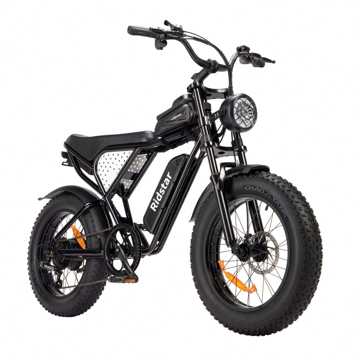 Hot Selling E-Bike 20 Inch Electric Bicycle with 1000W Motor