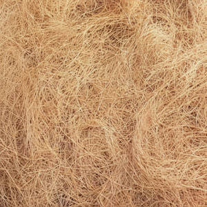 Exportateur de fibres de coco brutes fournissant des fibres de coco à haute résistance pour divers usages industriels, domestiques et commerciaux - Product Image 1