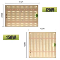 Lampu Tumbuh LED EVO 120W/150W/800W 3000K Spektrum Penuh untuk Berkebun Hidroponik Dalam Ruangan Sumber SMD Bodi Aluminium Berperingkat IP65 untuk Pembungaan