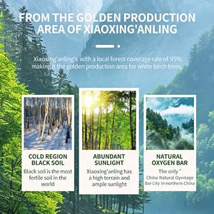 Bebida Natural <span class=keywords><strong>de</strong></span> Líquido <span class=keywords><strong>de</strong></span> <span class=keywords><strong>Abedul</strong></span> Jiufengshan Yangxingu Sin Azúcar Añadido, 6 Botellas/caja, Productos y Bebidas en Caja <span class=keywords><strong>de</strong></span> Regalo - Product Image 4