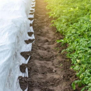 Couverture de plantes écologique anti-gel avec protection UV, résistante aux produits chimiques, extra large 36m, en PP spunbond non tissé pour usage agricole - Product Image 3