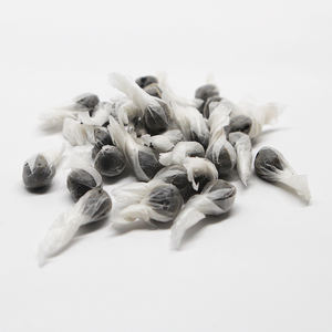 Parche de Artemisia MQ para el Ombligo, Antirreumático, para Desintoxicación Corporal, Elimina la Turbidez y la Humedad, Mejora el Estreñimiento - Product Image 5