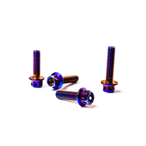 Sản xuất bu lông titan tùy chỉnh nhiều màu sắc cầu vồng, đầu rãnh, lục giác, Torx, vít xe máy - Product Image 3