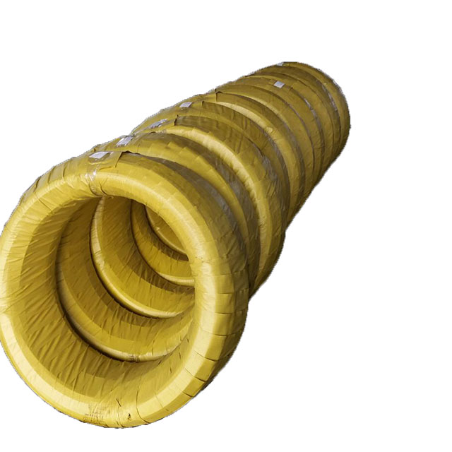 Filo Per Molle In Acciaio Inox 304 - 50 Pezzi Da 40 Cm, Diametro 0,8 Mm Per Fai Da Te, Gioielli E Barbecue
