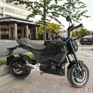<span class=keywords><strong>Moto</strong></span> de course électrique 4000W pour adultes, batterie lithium 72V, motos sportives tout-terrain, <span class=keywords><strong>vitesse</strong></span> maximale 90 km/h - Product Image 6