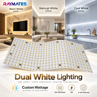 Plaque LED modulaire Raymates Flex CCT Tunable DC 24V pour éclairage de comptoir en marbre, pour usage en entrepôt, avec indice de protection IP20