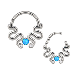 Fábrica ASTM F136 Titanio Tabique Nariz Piercing Helix Cartílago Rook Aro Pendiente Bisagras Clicker Segmento Nariz Anillos - Product Image 4