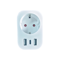 Wellsdiy Meilleure vente Prise intelligente Wi-Fi TUYA avec prise allemande EU, télécommande, 2 ports USB et 1 port Type C