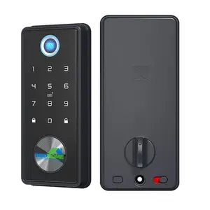 BBDHOME Hardware Holztür schlüssel Europäische Felge biometrische Smart Lock WIFI Finger abdruck intelligente Deadblot