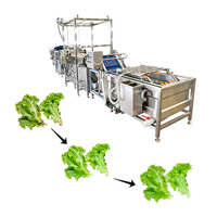 Plantaardige groente- en fruitwas-, reinigings- en blancheringsmachine plan