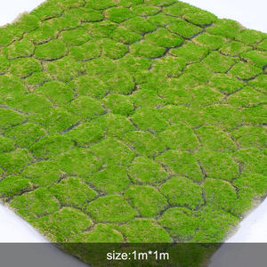 Karpet Rumput Buatan, Tikar Rumput Buatan, Taman Lanskap Lumut Palsu untuk Lantai Rumah Dekorasi Pernikahan Akuarium - Product Image 3