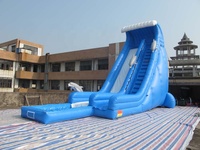 Giant Outdoor Commercial Inflatable Dolphin Water Slide with Pool