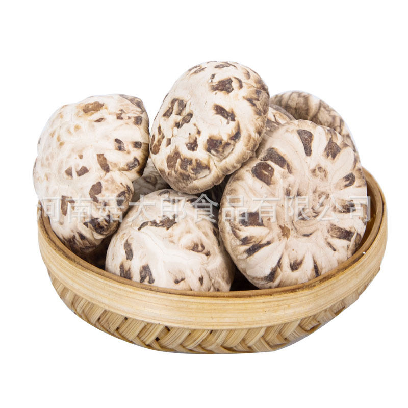 Blume Shiitake Pilz Großhandels preis getrocknete weiße Blume Shiitake Pilz hohe Qualität