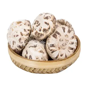 Fleur de champignon shiitake, prix de gros, fleur blanche séchée, champignon shiitake de haute qualité