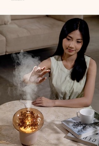 Difusor de Aroma Ultrasónico en Oferta, Humidificador con Flor Eterna y Luz LED para el Hogar y la Oficina - Product Image 2