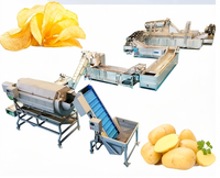 Industriële friteuse, multifunctioneel, automatisch, hoge capaciteit (100 kg), fruit- en groenteverwerkingslijn, food grade roestvrij staal