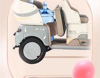 Scooter électrique tricycle fermé haut de gamme 1000W avec passagers, fabriqué en Chine