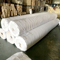 Rouleau de moquette murale en sisal pour la maison