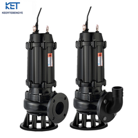Pompe submersible à eaux usées haute pression durable de 12 pouces avec interrupteur à flotteur automatique en acier inoxydable pour applications agricoles et industrielles