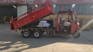 Tricycle motorisé à essence ouvert avec toit, <span class=keywords><strong>350</strong></span> cm³, 9 roues, double pont, double propulsion, pour grossistes - Product Image 2