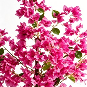 High Quality Real Touch Artificial Silk Bougainvillea Trees Durable Indoor Desktop <b>Plants</b> - Product Image 6