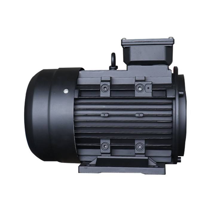 3 Phase 4 Pole Ac Asynchronous 3kw 4hp Electric Motor