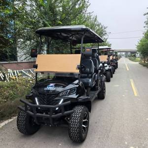 Voiture de golf miniature de luxe certifiée CE, voiture de chasse, <span class=keywords><strong>6</strong></span> places, avec puissant moteur AC de 3,5 kW, contrôleur homologué DOT - Product Image 3