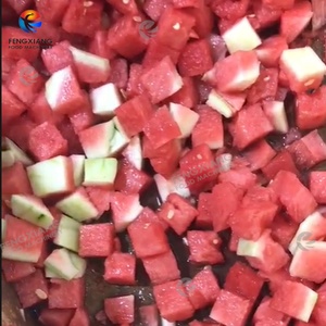 เครื่องหั่นผักและผลไม้เชิงพาณิชย์ รุ่น MG-806L เครื่องหั่นแตงโม สับปะรด เผือก ฟักทอง - Product Image 6