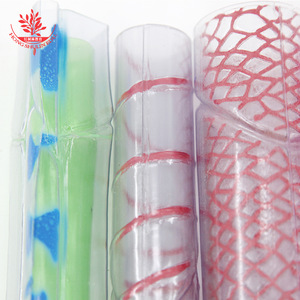 Modelo de estructura del xilema y los tubos de filtro de las plantas, un material didáctico para la biología de secundaria, para observar células y proporcionar una mejor comprensión. - Product Image 3