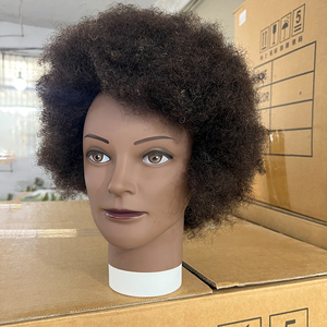 Tête de poupée universitaire à livraison rapide tête de mannequin <span class=keywords><strong>Afro</strong></span> <span class=keywords><strong>cheveux</strong></span> réels avec <span class=keywords><strong>cheveux</strong></span> <span class=keywords><strong>afro</strong></span> <span class=keywords><strong>pour</strong></span> formation de coiffeurs à vendre - Product Image 3