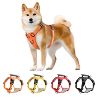 Harnais réfléchissant pour animaux de compagnie gilet de laisse de chien antidéflagrant avec sangle de poitrine laisse de collier de chien facile à enfiler