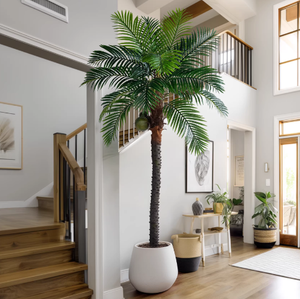 Grandi Alberi Artificiali Palme da Cocco Palma Reale per Decorazione Esterna Paesaggistica Architettonica Piante Finte da Esterno - Product Image 3