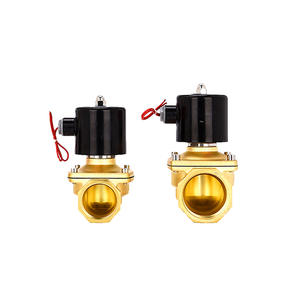 Válvula Solenoide Normalmente Cerrada de 220V y 24V CC, Control de Agua/Líquido/Gas, Una Entrada/Una Salida para Aplicaciones de Válvulas de Control de Agua - Product Image 1