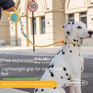 Correa retráctil iluminada para perro, correa de seguridad reflectante de longitud ajustable, Correa personalizada para mascotas para caminar de noche - Product Image 4